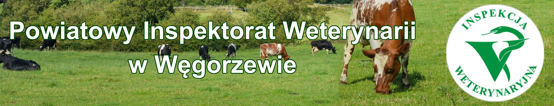 Powiatowy Inspektorat Weterynaryjny w Węgorzewie